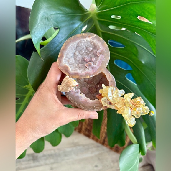 Parrot carving on Agate Geode with Citrine Tree - Picture 4 of 6